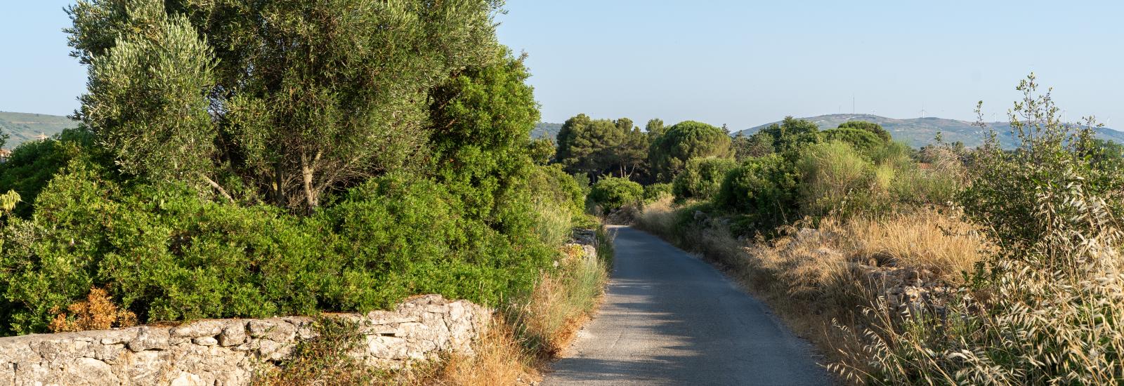 Sainte Catherine - ZAC